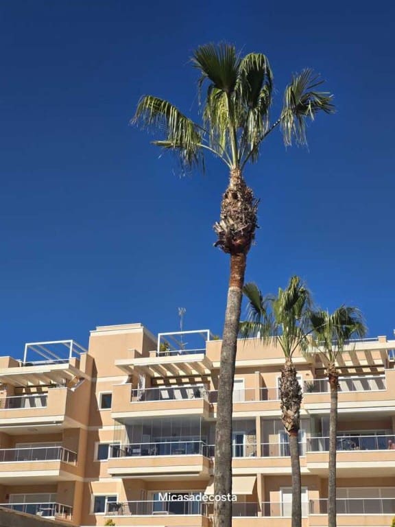 3 sypialnia Apartament na sprzedaż w Orihuela Costa - 299 950 € (Ref: 9831205)