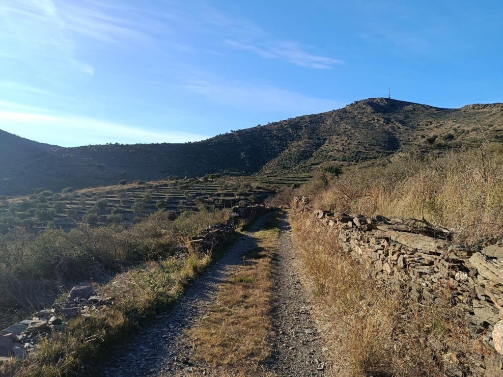 Mark till salu i Cadaques - 130 000 € (Ref: 9836280)