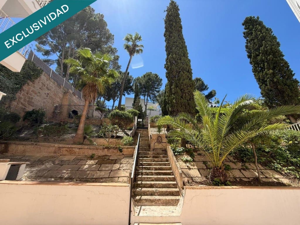 Comercial para venda em Calvia - 149 000 € (Ref: 9845333)