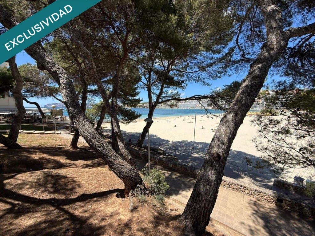 Comercial para venda em Calvia - 149 000 € (Ref: 9845333)