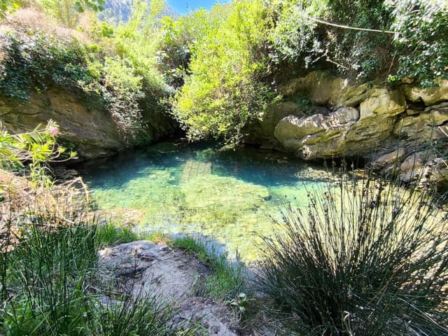 4 sypialnia Finka/Dom wiejski do wynajęcia w Sóller - 2 300 € (Ref: 9851112)