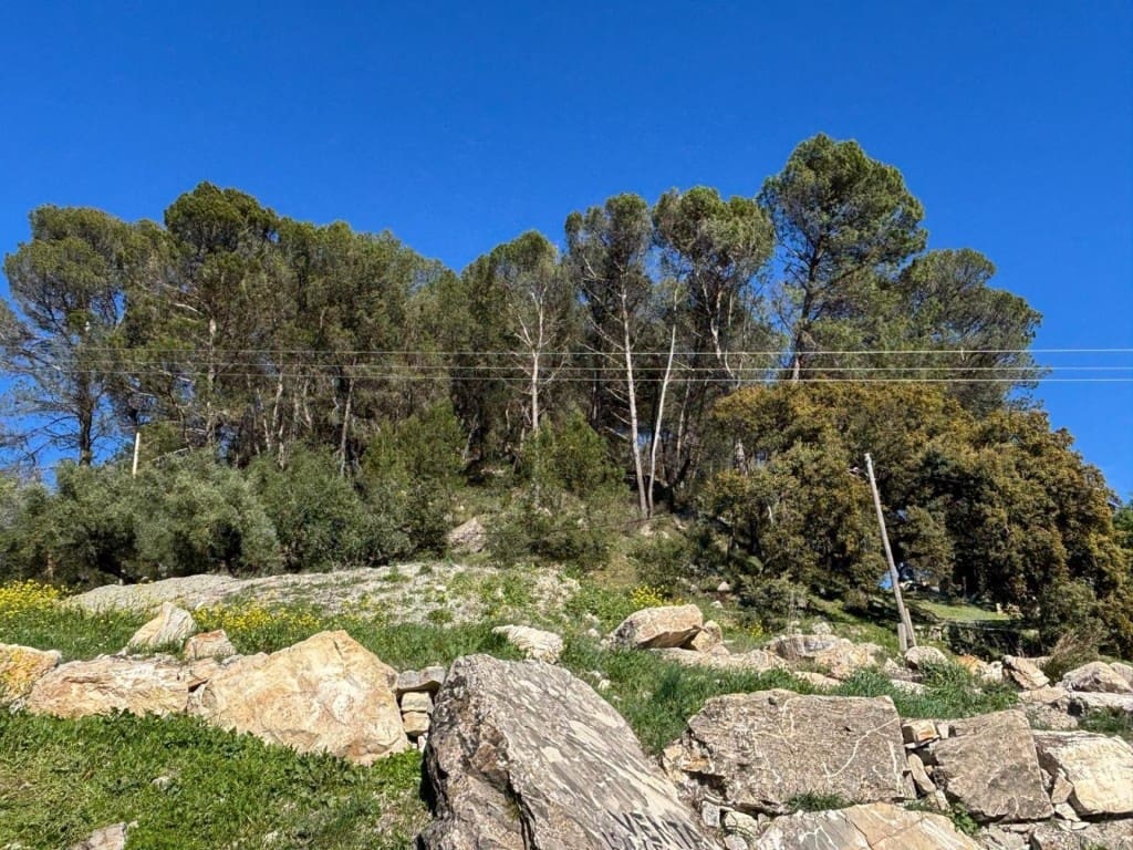 Grunde uden byggetilladelser til salg i Loja - € 150.000 (Ref: 9855278)