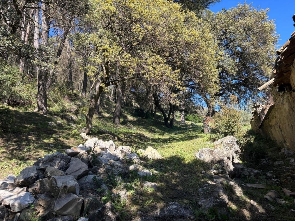 Grunde uden byggetilladelser til salg i Loja - € 150.000 (Ref: 9855278)