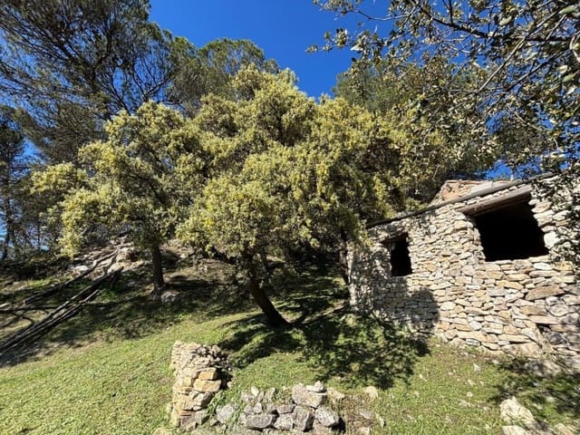 Grunde uden byggetilladelser til salg i Loja - € 150.000 (Ref: 9855278)