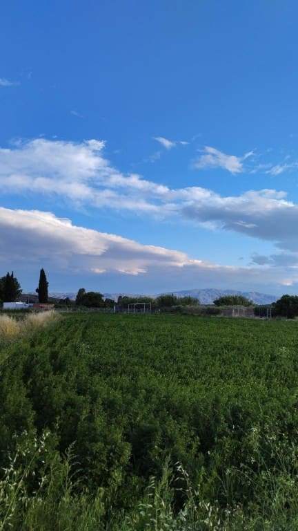 Undeveloped Land for sale in Molina de Segura - € 62,000 (Ref: 9865060)