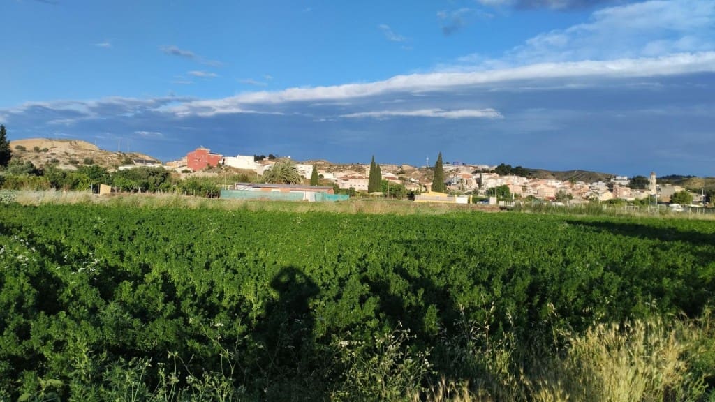 Undeveloped Land for sale in Molina de Segura - € 62,000 (Ref: 9865060)