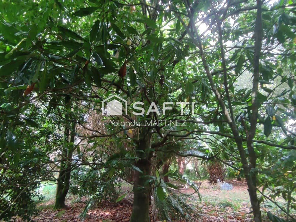 Ubebygd land til salgs i Teo - € 49 500 (Ref: 9890044)