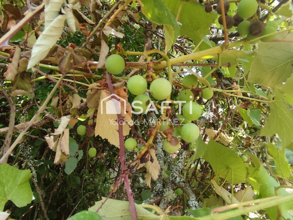 Ubebygd land til salgs i Teo - € 49 500 (Ref: 9890044)