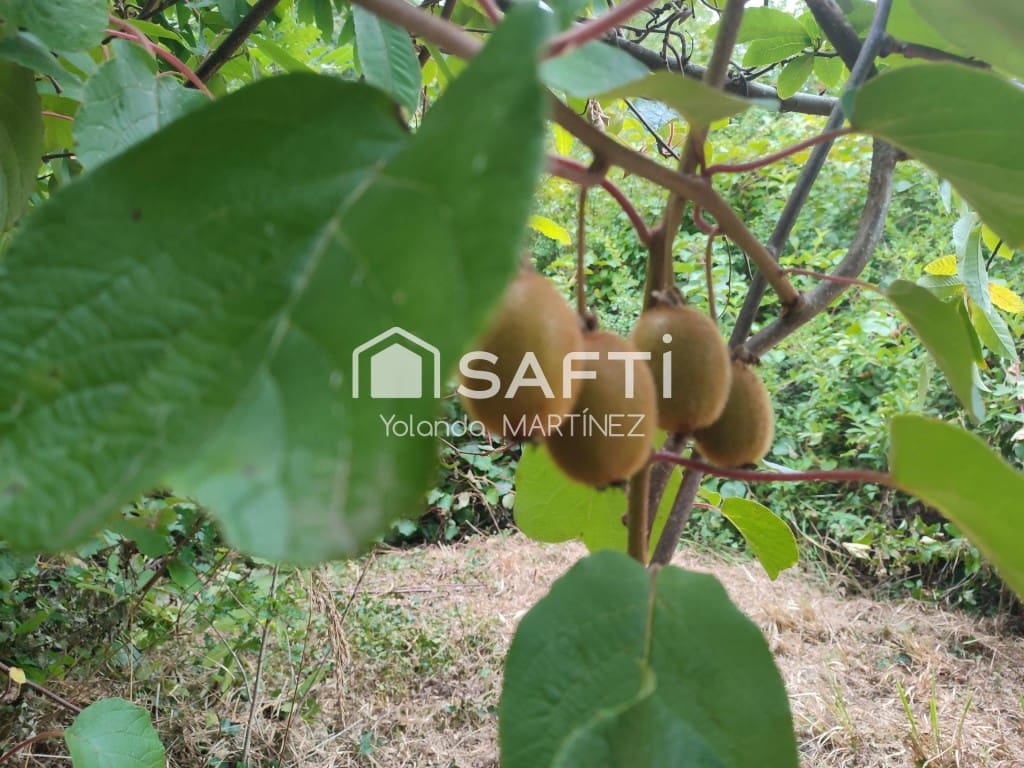 Ubebygd land til salgs i Teo - € 49 500 (Ref: 9890044)