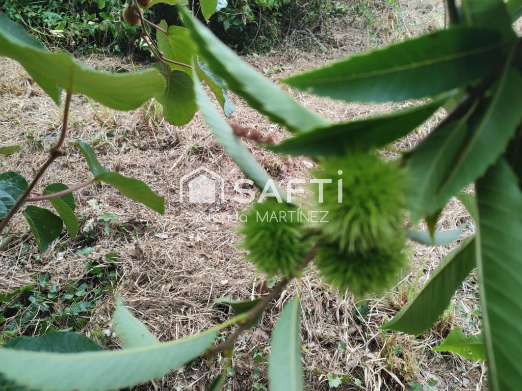 Ubebygd land til salgs i Teo - € 49 500 (Ref: 9890044)