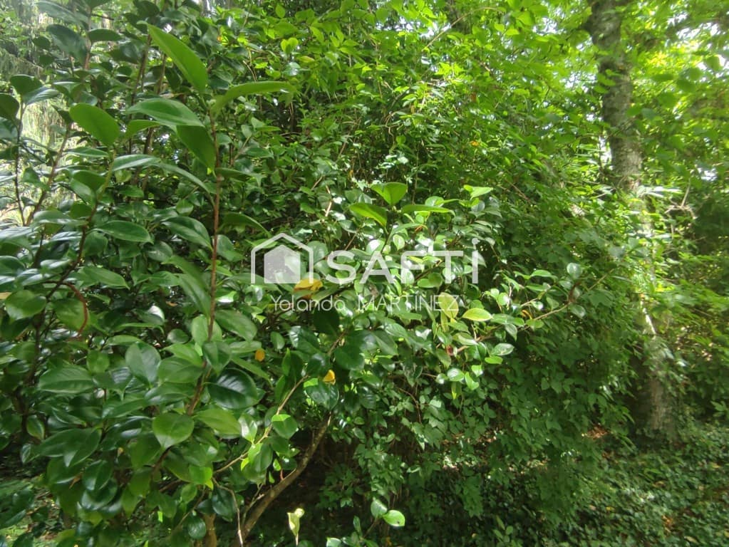 Ubebygd land til salgs i Teo - € 49 500 (Ref: 9890044)
