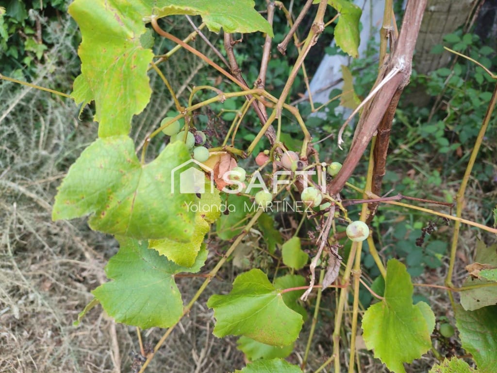 Ubebygd land til salgs i Teo - € 49 500 (Ref: 9890044)
