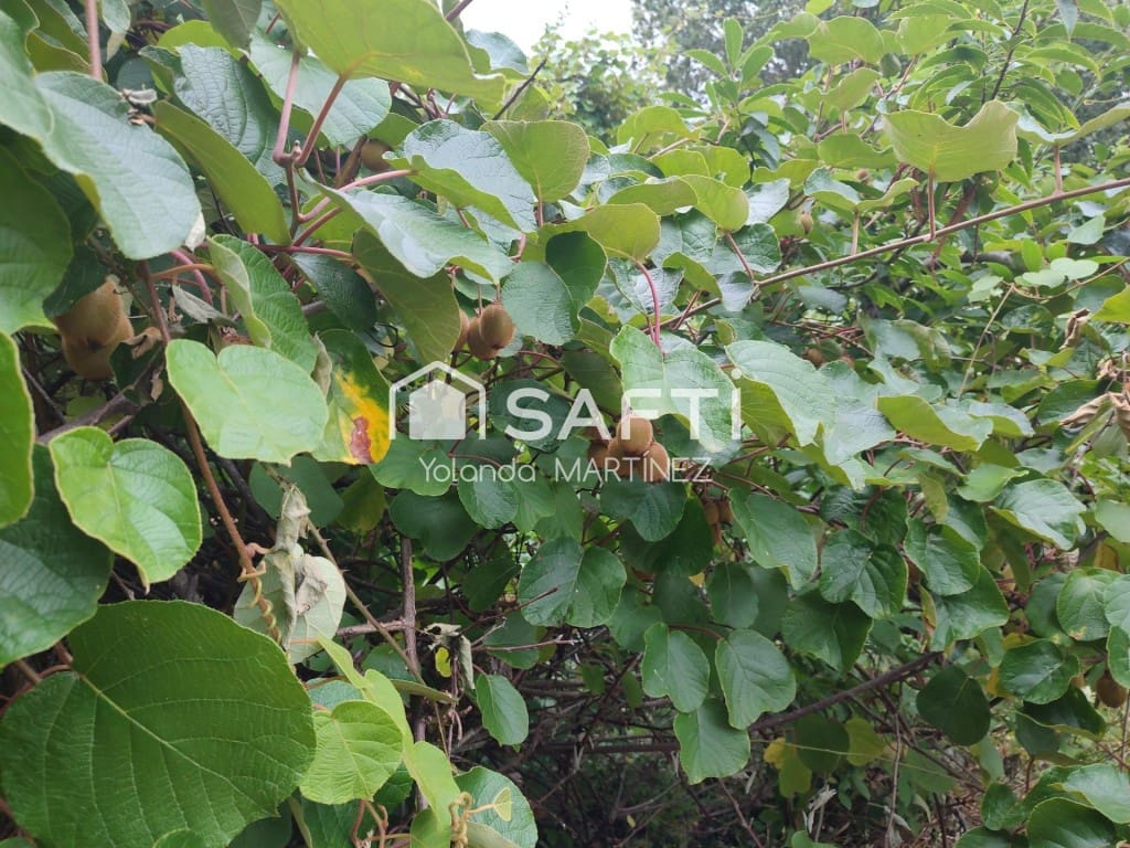 Ubebygd land til salgs i Teo - € 49 500 (Ref: 9890044)