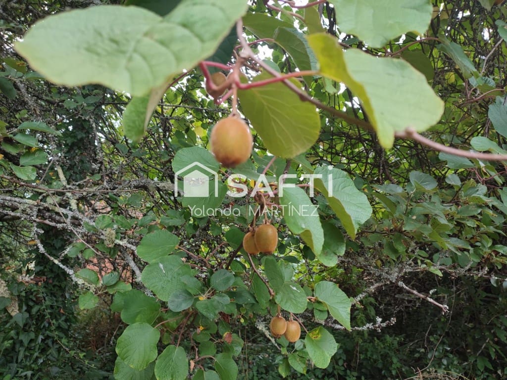 Ubebygd land til salgs i Teo - € 49 500 (Ref: 9890044)