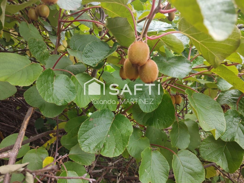 Ubebygd land til salgs i Teo - € 49 500 (Ref: 9890044)