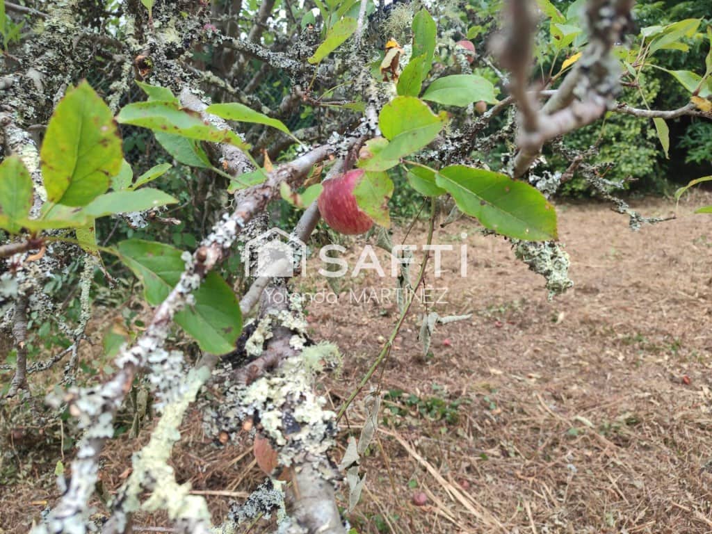 Ubebygd land til salgs i Teo - € 49 500 (Ref: 9890044)