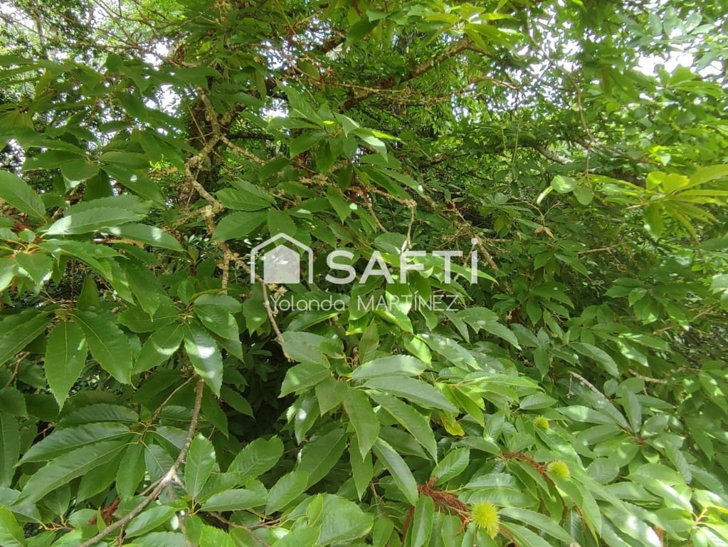 Ubebygd land til salgs i Teo - € 49 500 (Ref: 9890044)