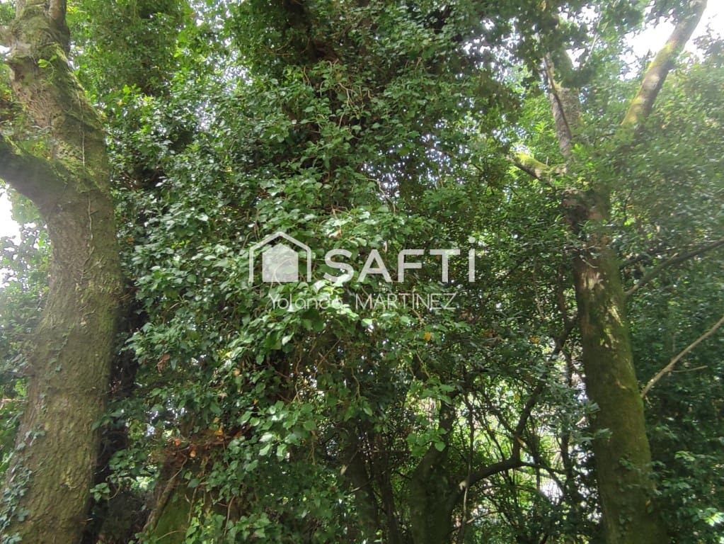 Ubebygd land til salgs i Teo - € 49 500 (Ref: 9890044)