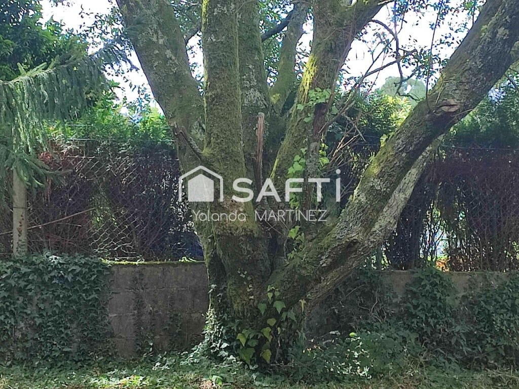 Ubebygd land til salgs i Teo - € 49 500 (Ref: 9890044)