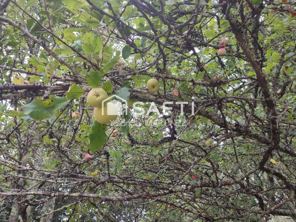 Ubebygd land til salgs i Teo - € 49 500 (Ref: 9890044)