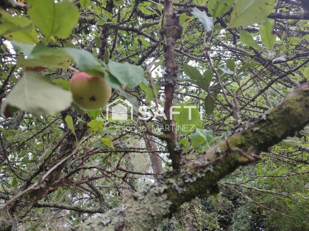 Ubebygd land til salgs i Teo - € 49 500 (Ref: 9890044)