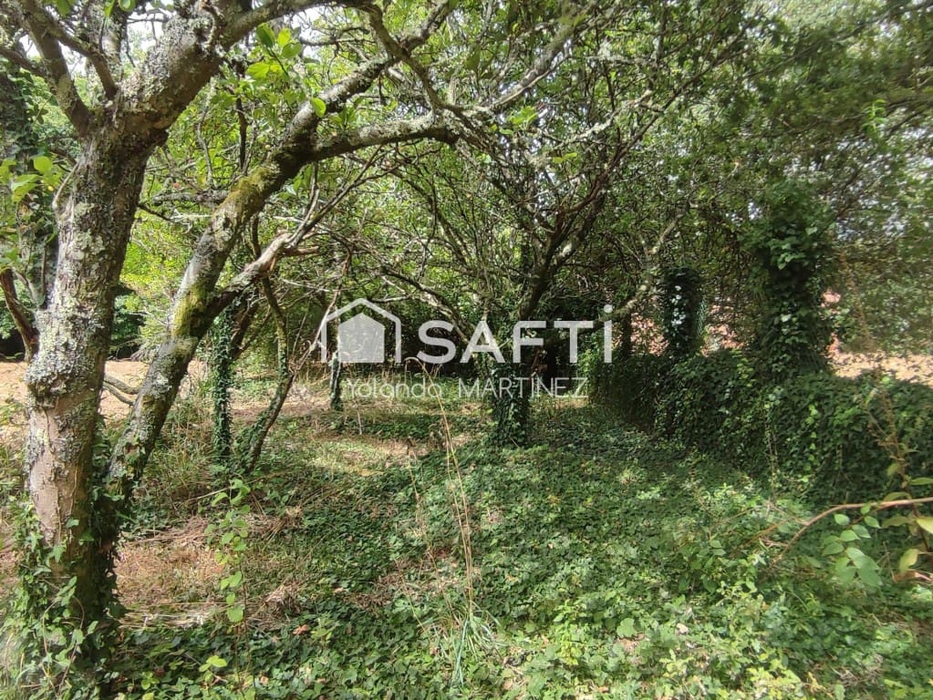 Ubebygd land til salgs i Teo - € 49 500 (Ref: 9890044)