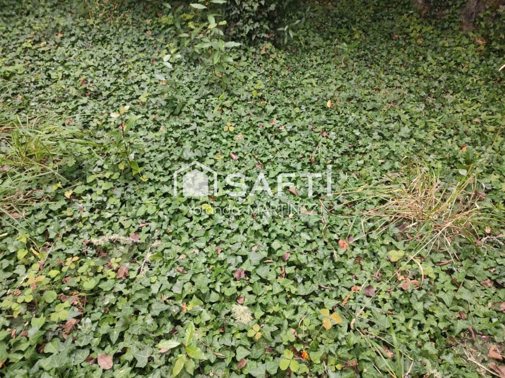 Ubebygd land til salgs i Teo - € 49 500 (Ref: 9890044)