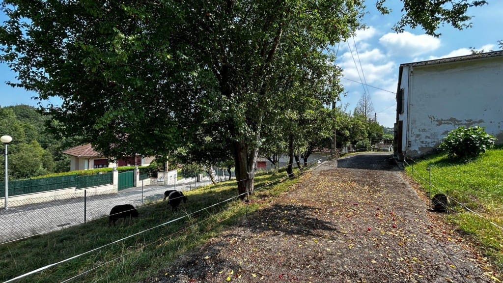 Terrain à Bâtir à vendre à Oviedo - 235 000 € (Ref: 9891956)