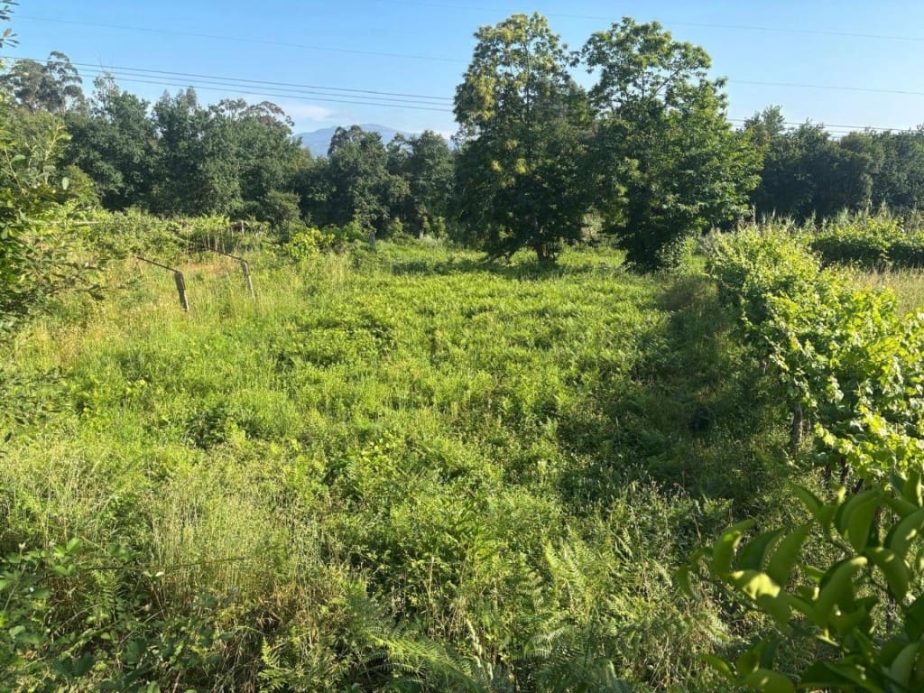 6 chambre Finca/Maison de Campagne à vendre à Salvaterra de Mino avec garage - 95 000 € (Ref: 9906915)