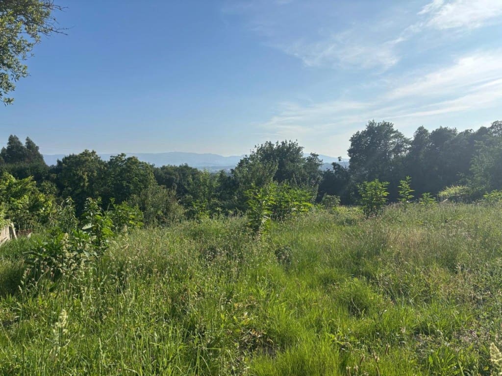6 chambre Finca/Maison de Campagne à vendre à Salvaterra de Mino avec garage - 95 000 € (Ref: 9906915)