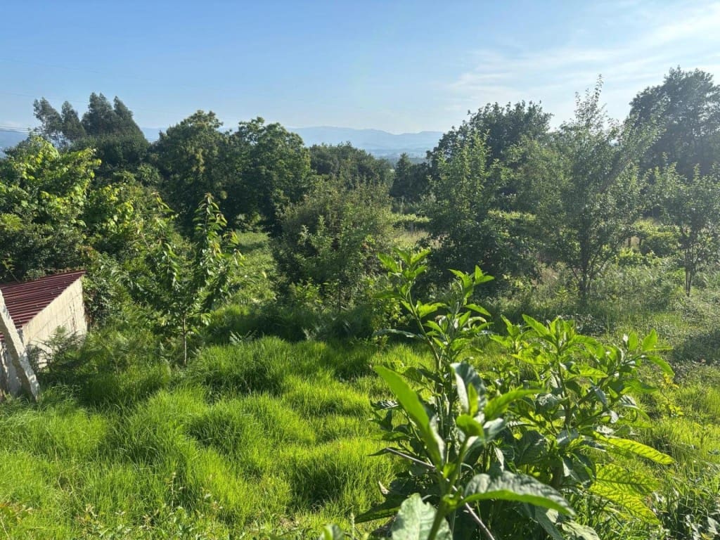 6 chambre Finca/Maison de Campagne à vendre à Salvaterra de Mino avec garage - 95 000 € (Ref: 9906915)