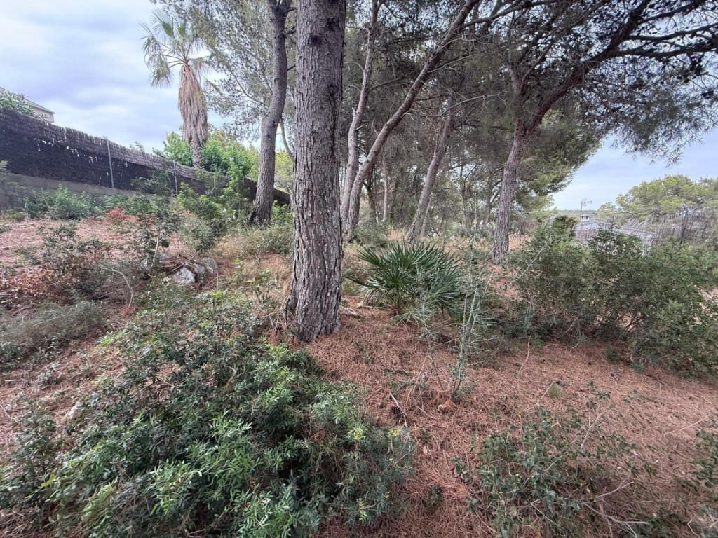 Building Plot for sale in Calafell - € 44,840 (Ref: 9933757)