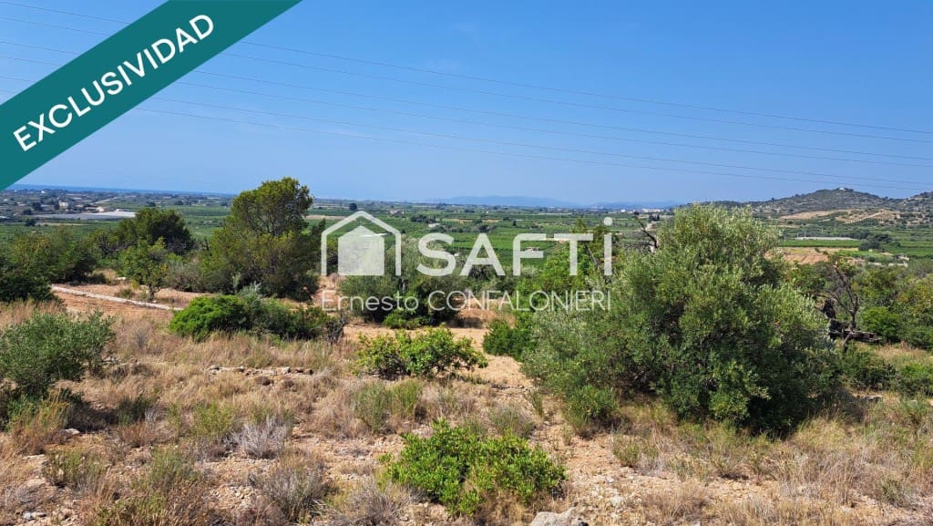 Ubebygd land til salgs i Alcanar - € 89 000 (Ref: 9937831)