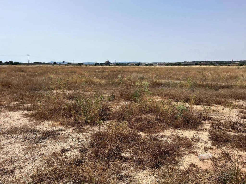 Bauplatz zu verkaufen in Almansa - 30.000 € (Ref: 9945415)