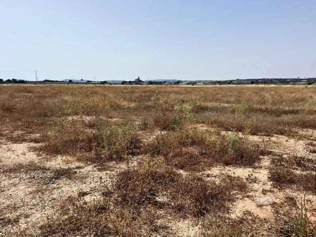 Byggetomt til salgs i Almansa - € 30 000 (Ref: 9945415)