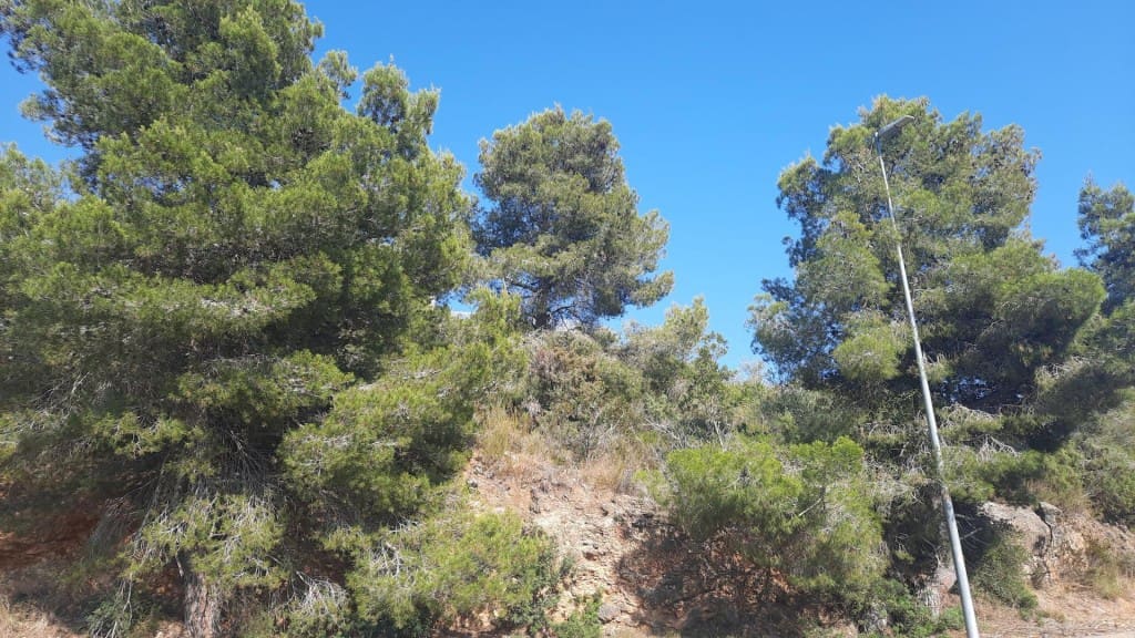 Area Edificabile in vendita in Segur de Calafell - 25.000 € (Rif: 9945416)