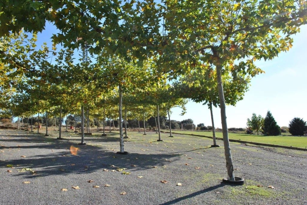 Comercial para venda em Valdevimbre - 400 000 € (Ref: 9947531)