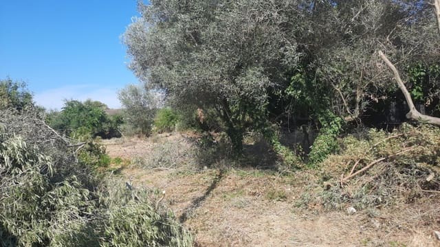 Solar/Parcela en Calafell en venta - 102.000 € (Ref: 9949449)