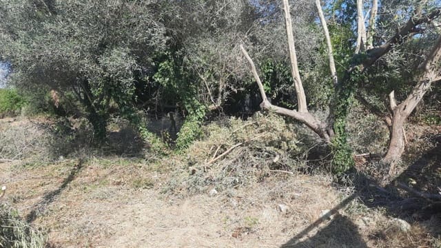 Solar/Parcela en Calafell en venta - 102.000 € (Ref: 9949449)