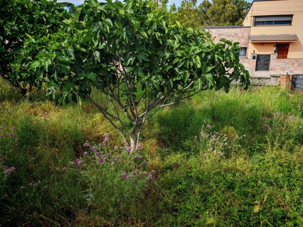3 sypialnia Willa na sprzedaż w Fogars de la Selva - 220 000 € (Ref: 9952330)