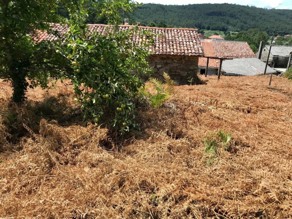 2 camera da letto Finca/Casa di Campagna in vendita in Noia - 99.000 € (Rif: 9993944)