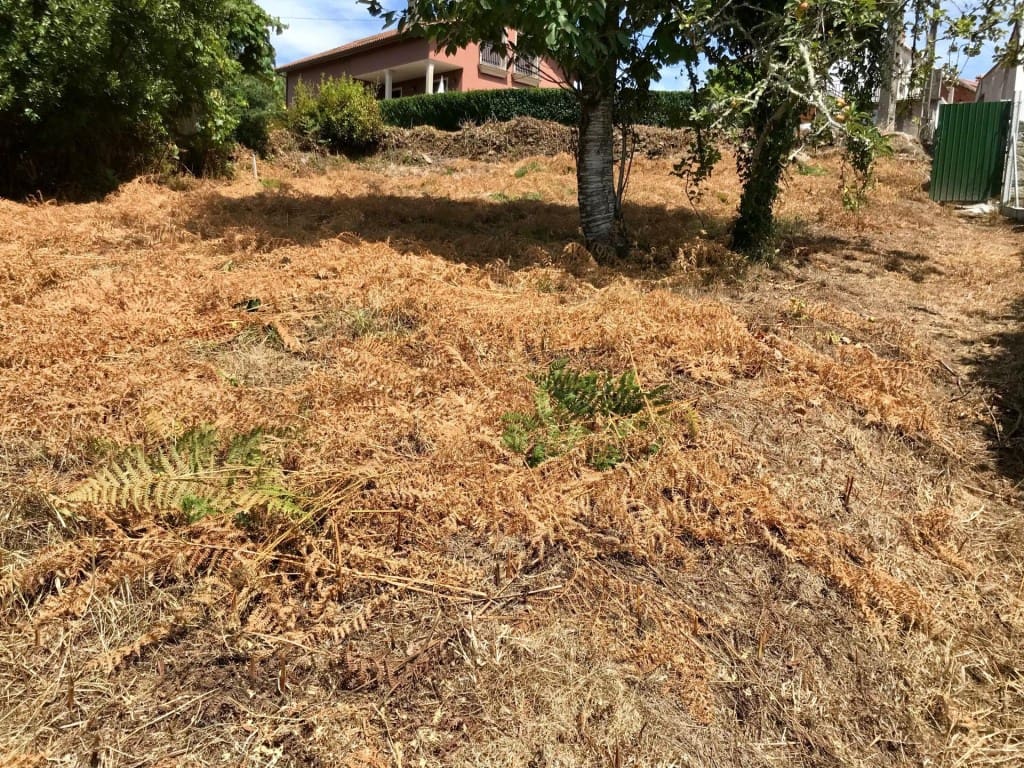 2 camera da letto Finca/Casa di Campagna in vendita in Noia - 99.000 € (Rif: 9993944)