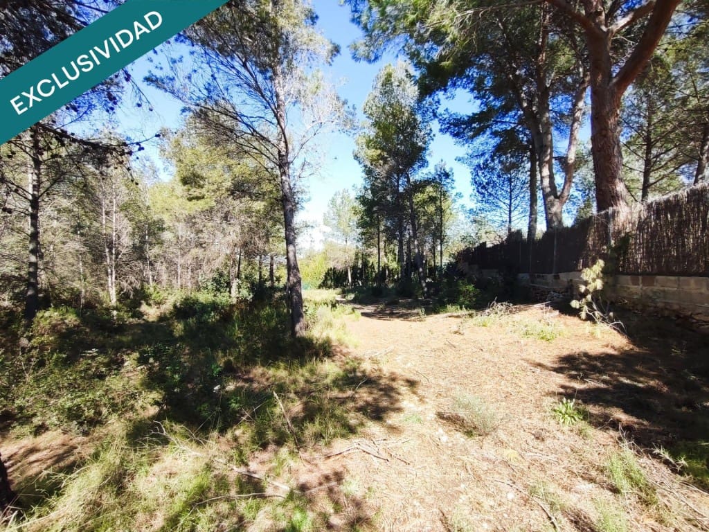 Mark till salu i Alfara d'Algimia - 20 000 € (Ref: 9996789)