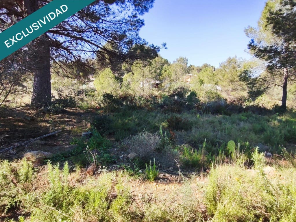 Mark till salu i Alfara d'Algimia - 20 000 € (Ref: 9996789)