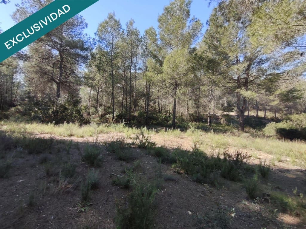 Mark till salu i Alfara d'Algimia - 20 000 € (Ref: 9996789)
