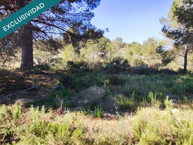 Mark till salu i Alfara d'Algimia - 20 000 € (Ref: 9996789)