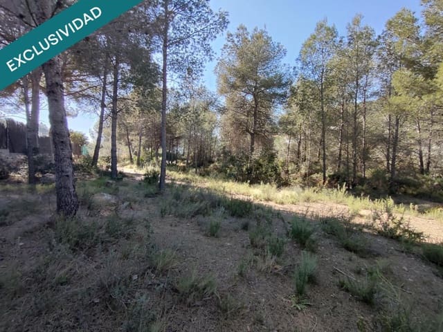 Mark till salu i Alfara d'Algimia - 20 000 € (Ref: 9996789)