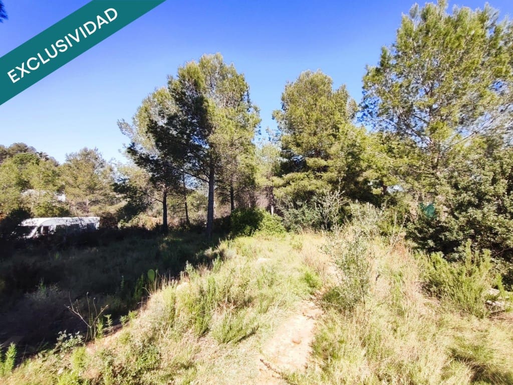 Mark till salu i Alfara d'Algimia - 20 000 € (Ref: 9996789)