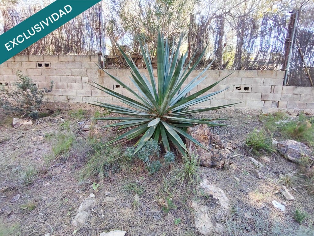 Mark till salu i Alfara d'Algimia - 20 000 € (Ref: 9996789)