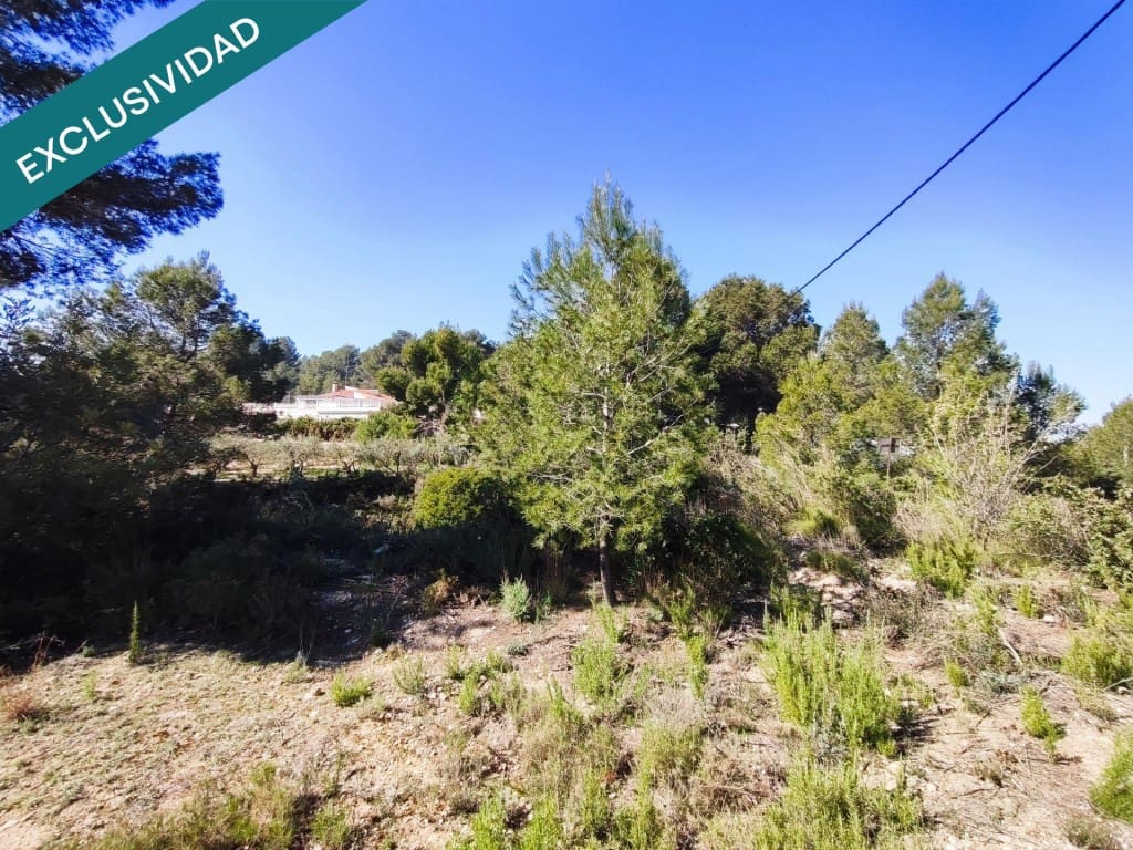 Mark till salu i Alfara d'Algimia - 20 000 € (Ref: 9996789)